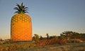 The Big Pineapple Agricultural Museum, in Bathurst Eastern Cape, South Africa.
